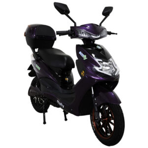 RX350 Batería Litio Extraíble - Image 16