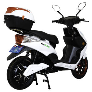 RX350 Batería Litio Extraíble - Image 7