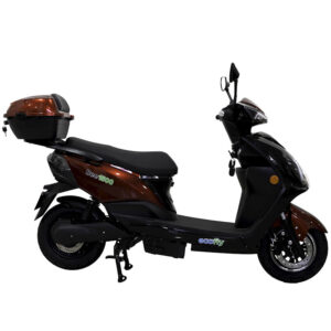 Bee 1500