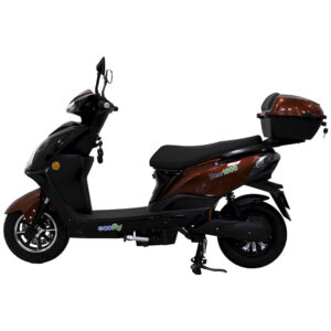 Bee 1500