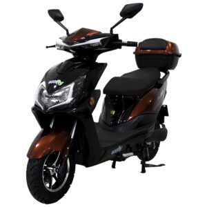 Bee 1500