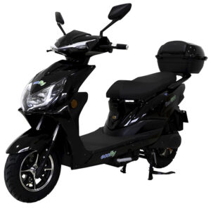 Bee 1500