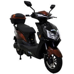 Bee 1500